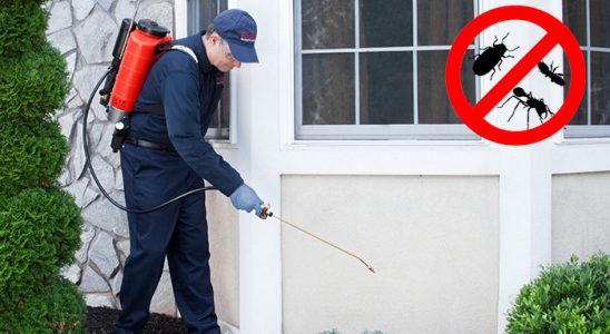 Abana Dezenfeksiyon böcek ilaçlama ve haşere kontrolü — ilaclama-tr.com